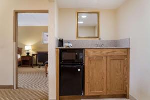 One Bedroom King Suite with Sofa Bed - Non Smoking room in Country Inn & Suites by Radisson Saginaw MI