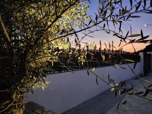 Limens Luxury Apartment