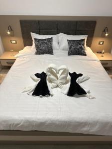 Zuzerto NORD 10 by Alezzi