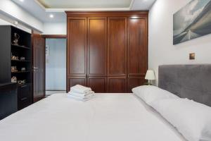 Majestic and spacious apartment near Acropolis