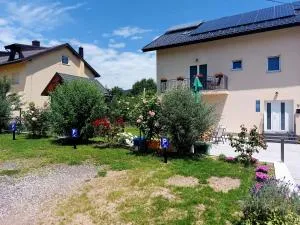 Katarica - Vranovača