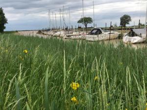 Appartements Appartement avec vue panoramique sur l'estuaire de la Gironde : photos des chambres
