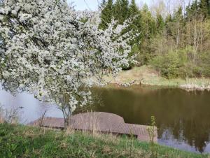 A Tranquil Oasis, Lakeview Home in Lapes Kaunas