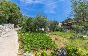 Amazing Apartment In Omisalj