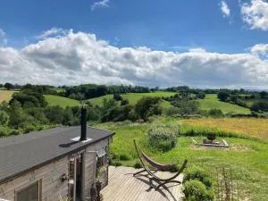 A luxury lodge, log burner and incredible views - 埃尔斯米尔