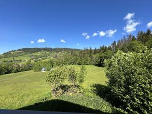 Appartements Appartement cosy 2 pieces, 6 couchages, balcon, garage et casier a skis, Demi-Quartier - FR-1-597-9 : photos des chambres