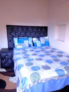 Cottage, close to UJ, Milpark, Wits