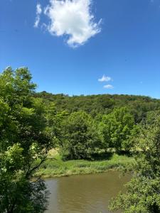 Penthouse : immersion dans la nature