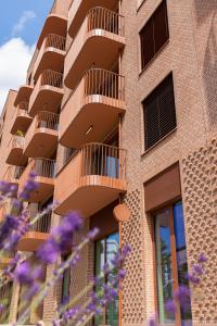 Modern Oasis in Bratislavas Heaven