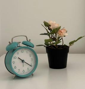 استديو انيق في حي السليمانية