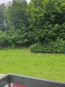 Princess luci - 斯图登