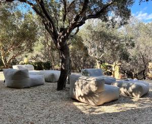 Sa Guardia de Ferricci img90