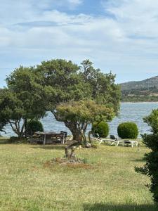 CASA VACANZE ONDA BLU img19