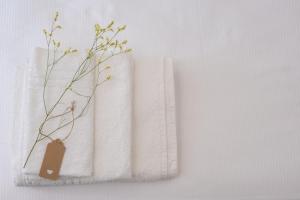 Coraline Deluxe Rooms