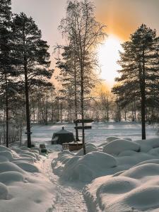 Aurora Igloo with Private Hot Tub by Invisible Forest Lodge