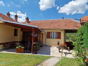 Ramonda Serbica- Peaceful Retreat in Sicevo Gorge