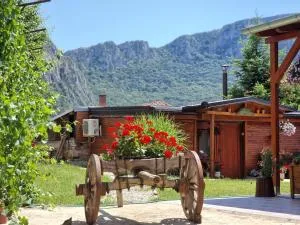 Konak -Guest house -Ramonda Serbika - Prosek