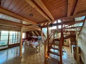 Weinrebe - Hedelfingen