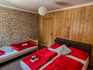 Apartment Phoenix No.12 - 科雷尼察