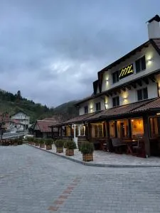 4 vodenice Brzeće B&B - Brus