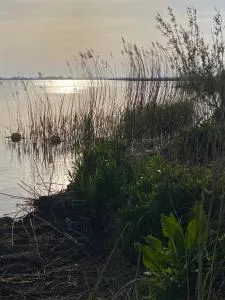 Tussen de meren - Gaastmeer