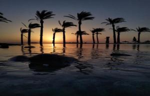 luxury cabana at hacienda bay