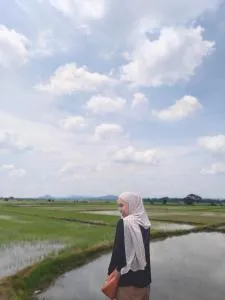 Deen Paddy View Wifi 3 Airconds - Langgar