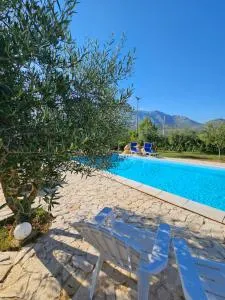 Quattro Olive - Scauri