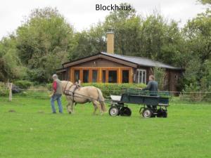Blockhaus Questin steht für Ruhe und Erholung