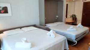 Stylish apartment in Acropolis