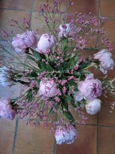 B&B / Chambres d'hotes Villa Sisyphe chambre