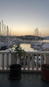 The Olive Tree Lumbarda