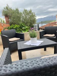 The Olive Tree Lumbarda