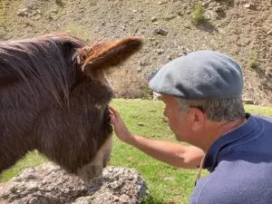 Au Graé - Maison à louer à Laruns Béarn - Béost