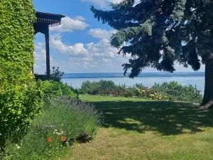 Villa Margaretha - 鲍道乔尼特尔代米茨