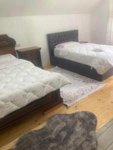 Paja Guesthouse - Camping