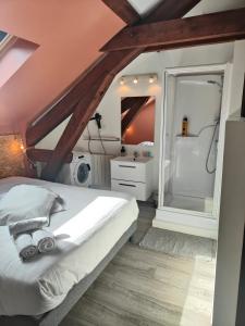 Residence Leclerc - Appartements d'hotes - Secteur thermal : photos des chambres