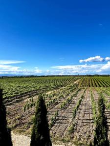 Maison au coeur des vignes