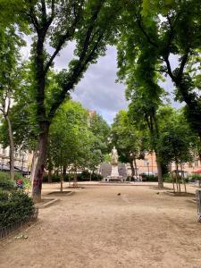Appartement de caractère 6 pers - hyper centre de Lyon