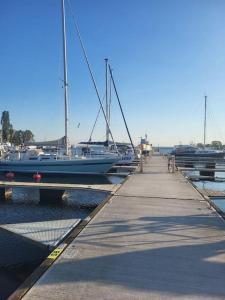 Jacht w Marinie Jastarnia