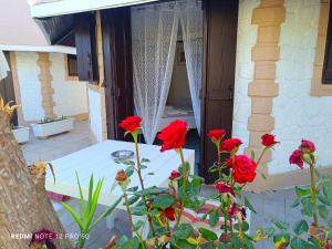Spasmata Village Marios bungalows only adults