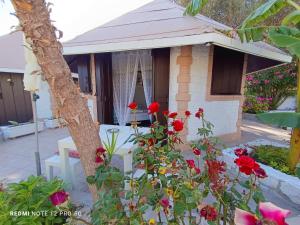 Spasmata Village Marios bungalows only adults