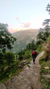 Pin Parvati Wooden Cottages - Hidden Monkey Experiences