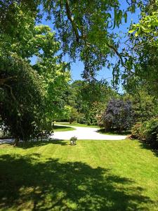 Maisons d'hotes Le Cottage des Falaises : photos des chambres