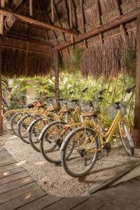Hotel Casa Hormiga