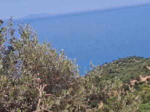 Adriatik Apartments AA