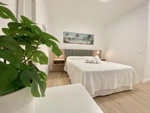 The Sun City Apartment