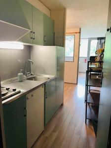 Studio pied de pistes Tour de la Biche