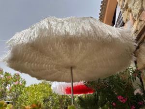 Villa Sardinia Villasimius img28