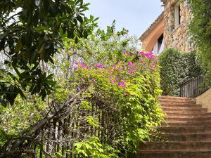 Villa Sardinia Villasimius img46